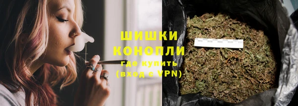 ПСИЛОЦИБИНОВЫЕ ГРИБЫ Медвежьегорск