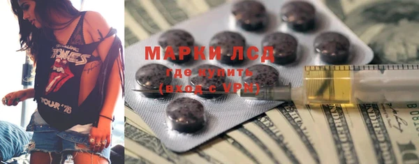 spice Бородино