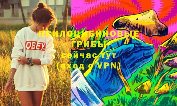 крисы Сясьстрой