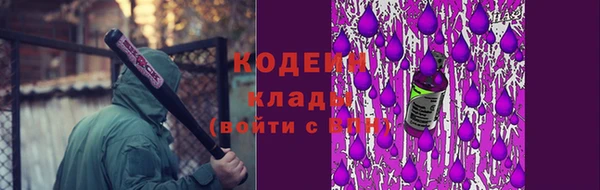 ПСИЛОЦИБИНОВЫЕ ГРИБЫ Медвежьегорск