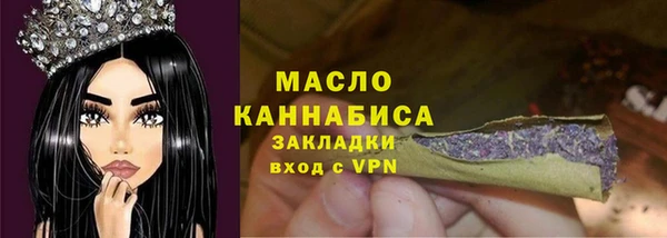 крисы Мегион