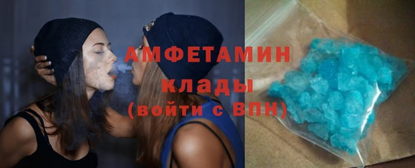 крисы Мегион