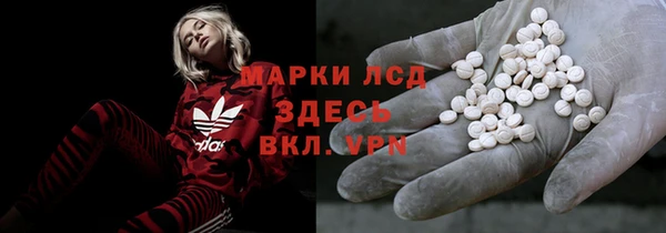 крисы Мегион