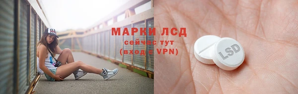 крисы Мегион