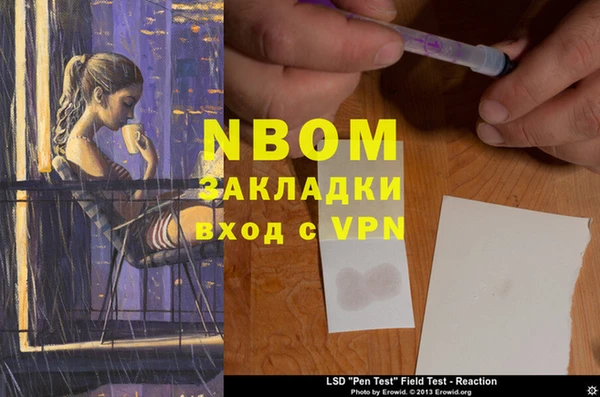 ПСИЛОЦИБИНОВЫЕ ГРИБЫ Медвежьегорск