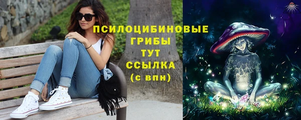 ECSTASY Баксан