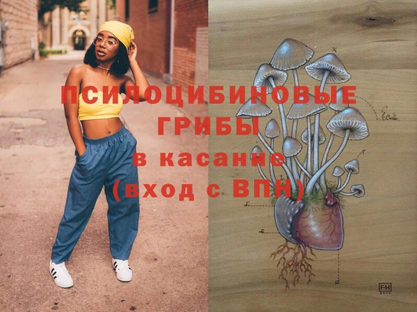 ПСИЛОЦИБИНОВЫЕ ГРИБЫ Медвежьегорск