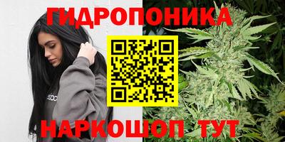 тгк Абакан