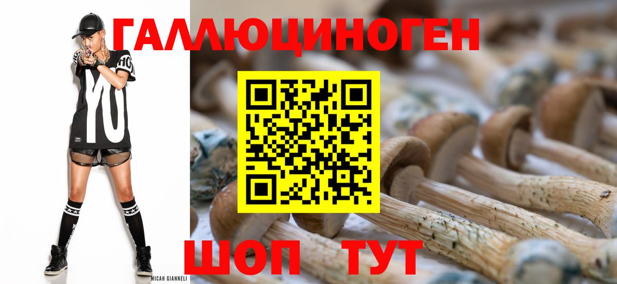 Галлюциногенные грибы прущие грибы  Георгиевск  Галлюциногенные грибы Psilocybe 