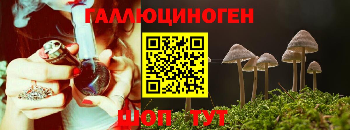 Георгиевск  Галлюциногенные грибы GOLDEN TEACHER  Вход с VPN 